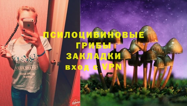 mix Надым